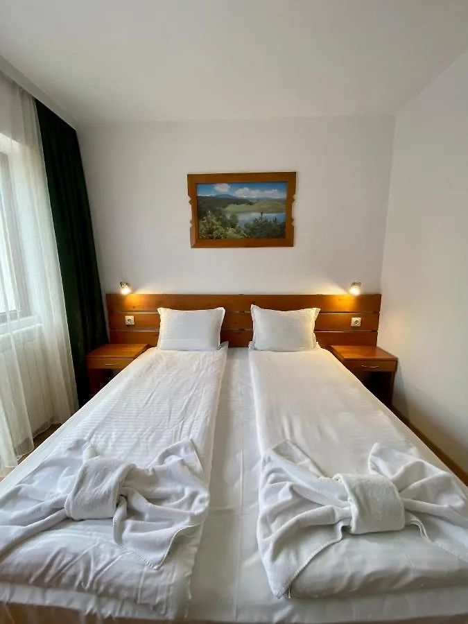 Edelweiss Central Hotel 班斯科