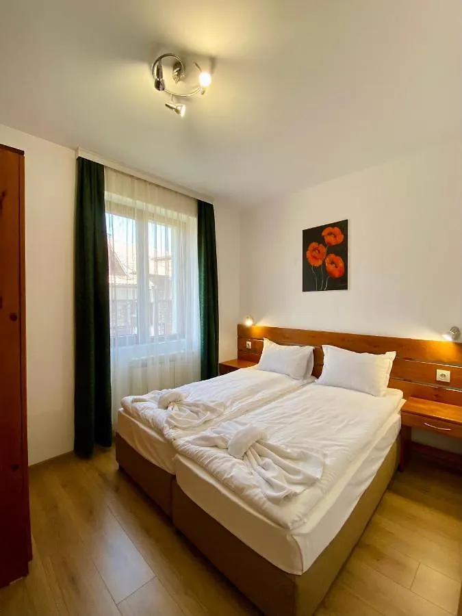 Edelweiss Central Hotel 班斯科